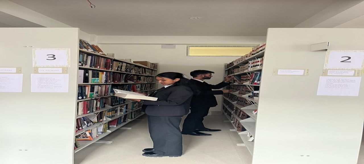 Library Image 6